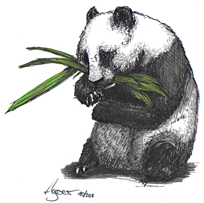 Pandas Zeichnen
