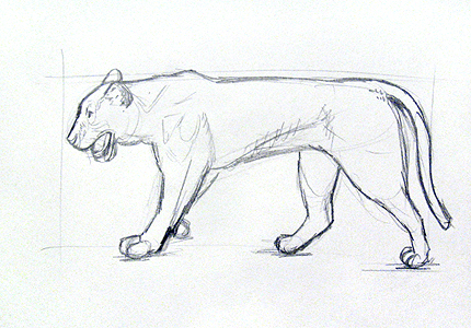 How To Draw Animals Step By Step. Learn to draw Animals: first