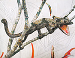 Gecko
