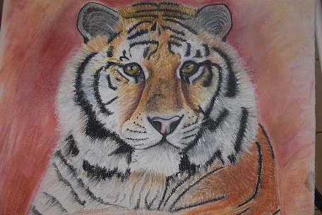 tigerformat.jpg