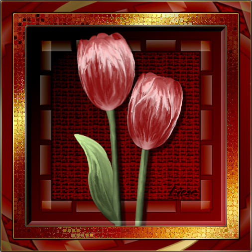 Tulpen.jpg