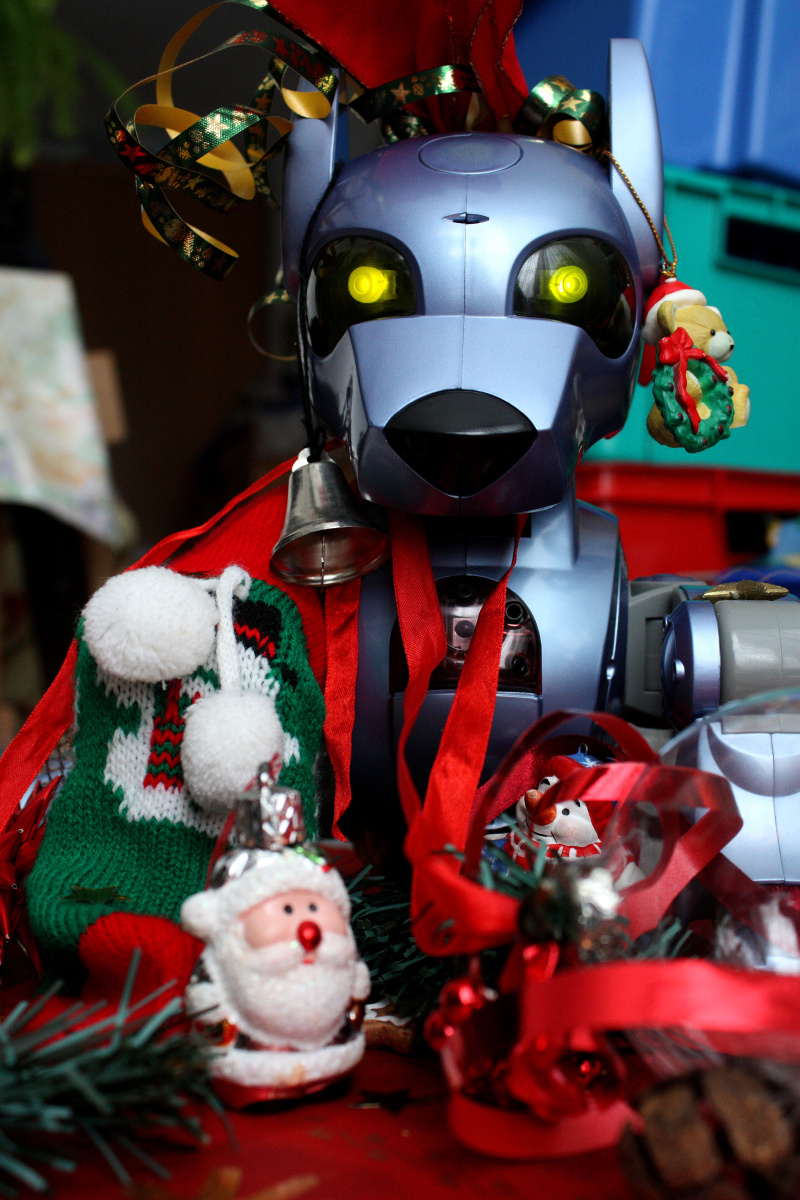 Ronny Weihnachtsbild 1.jpg