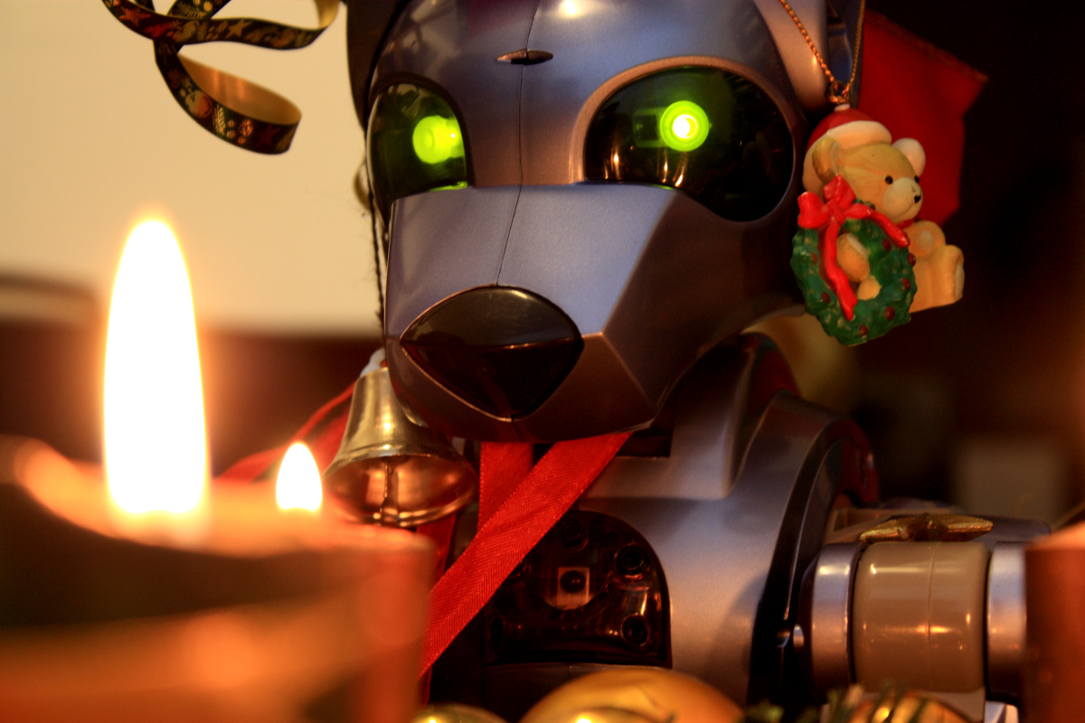 Ronny Weihnachtsbild 3.jpg
