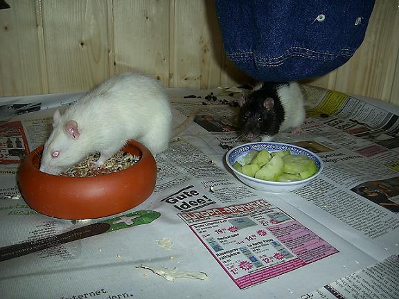 Kopie von PIC_0092.JPG