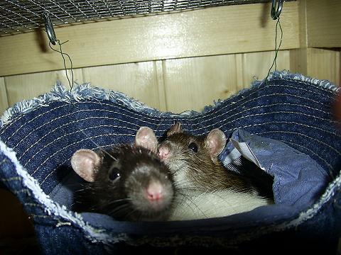 Kopie von PIC_0101.JPG