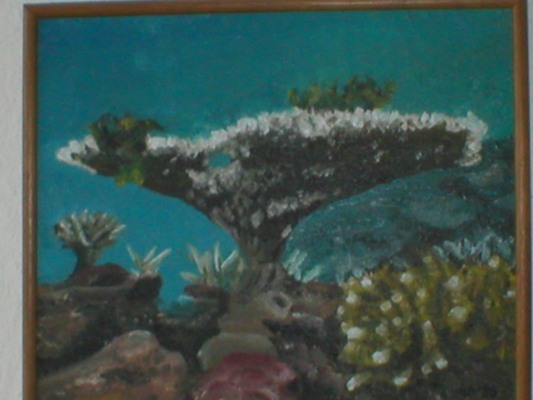 P1010025.JPG