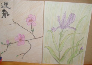 S7302029 bleistift gemalte blumen.jpg