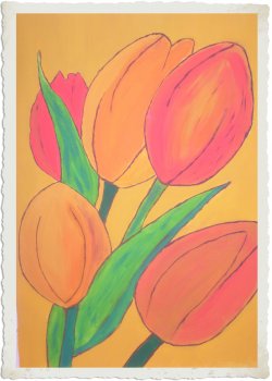 S7302023 tulpen.jpg