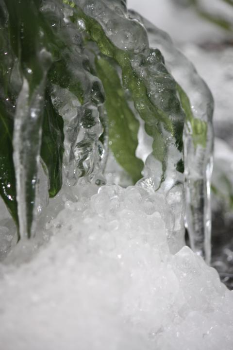 K640_Winter 2010-2011 (11).JPG