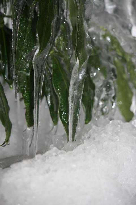 K640_Winter 2010-2011 (10).JPG
