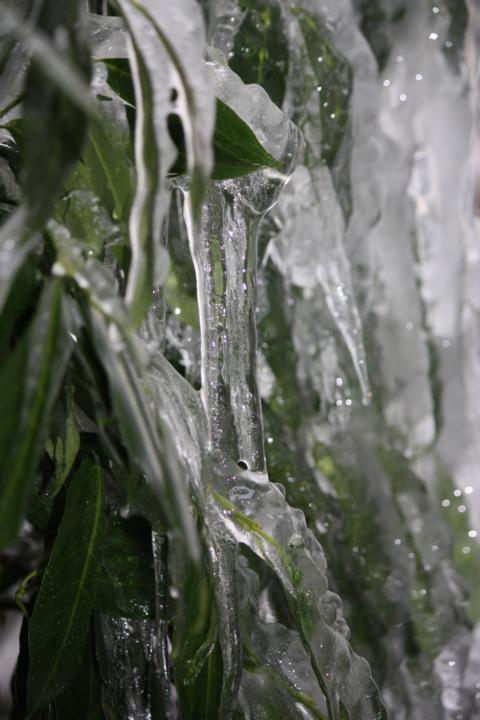 K640_Winter 2010-2011 (9).JPG
