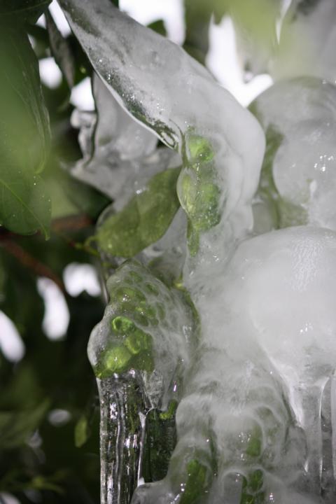 K640_Winter 2010-2011 (8).JPG