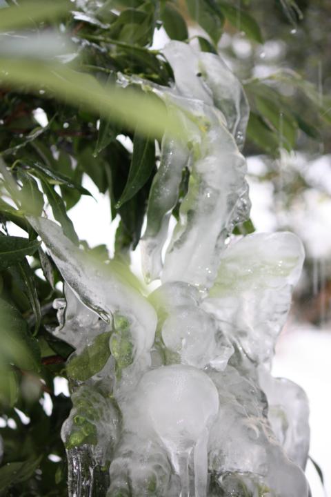 K640_Winter 2010-2011 (7).JPG