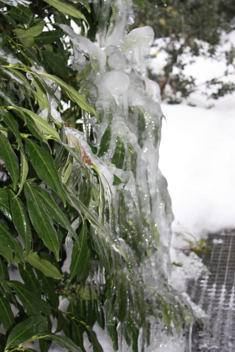 K640_Winter 2010-2011 (5).JPG