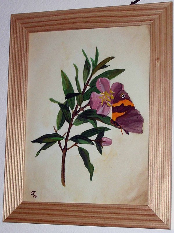 Papilio2_600x800.jpg