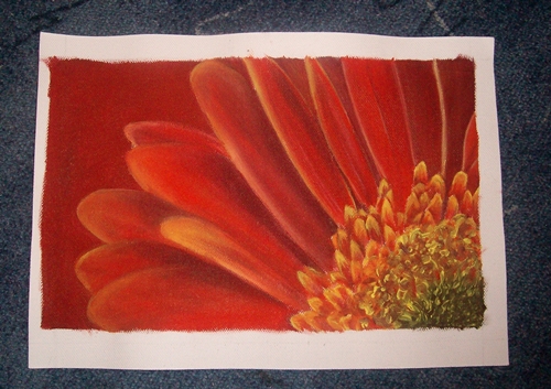 redflower_c.JPG