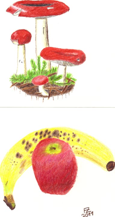 Felix-Pilze-BananaApfel.jpg