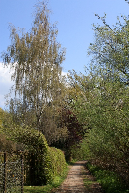 IMG_5710.jpg