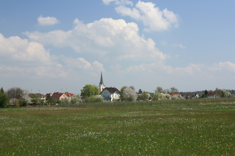 IMG_5786.jpg