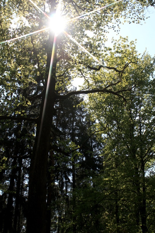 IMG_6287.jpg