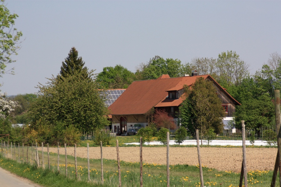 IMG_6329.jpg
