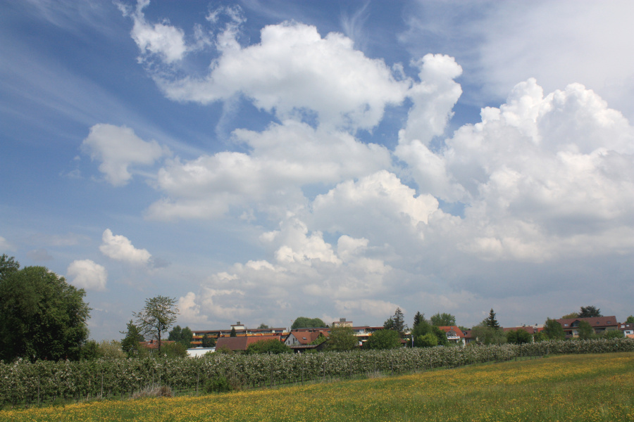 IMG_6590.jpg