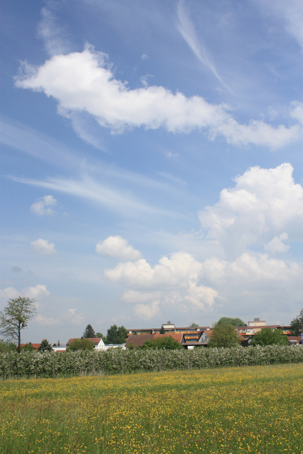 IMG_6614.jpg