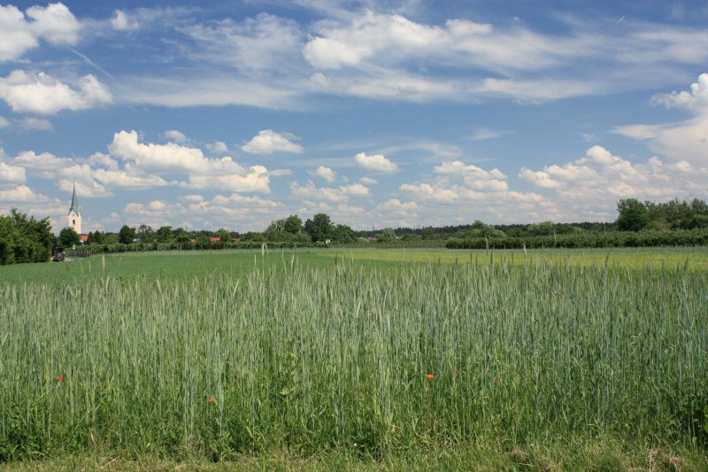 IMG_7487.jpg