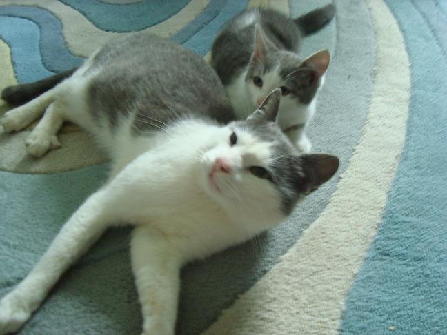 Strolchi und knuddl.JPG