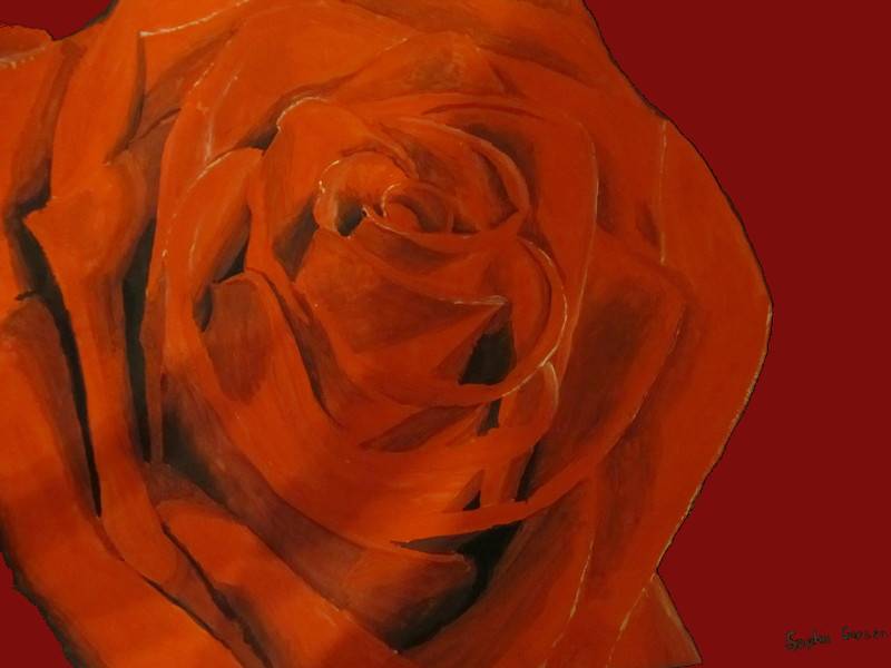 rose.jpg