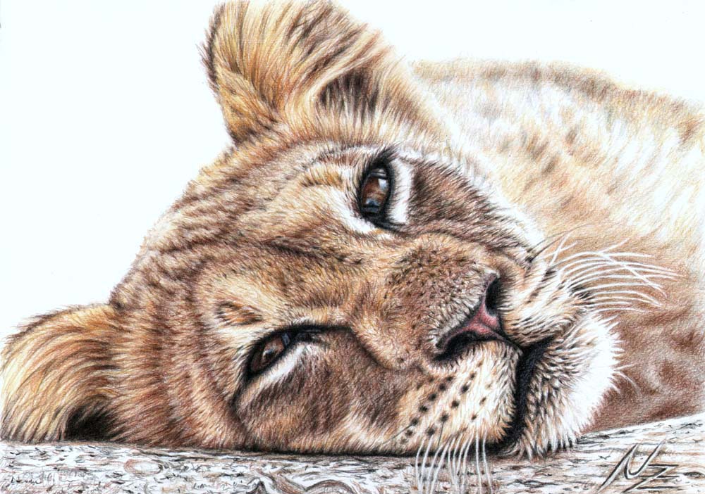 lionchildkleiner.jpg