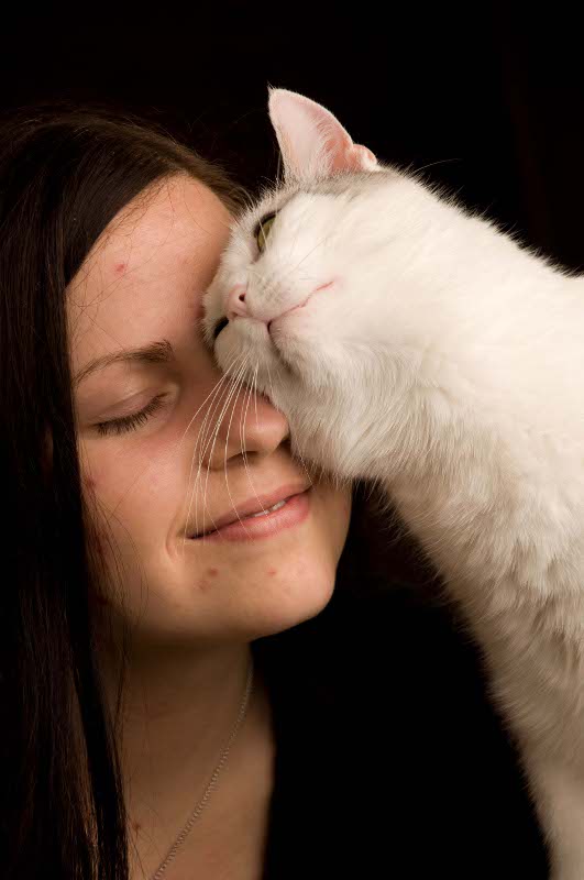 Portrait_Katze_Foto.JPG
