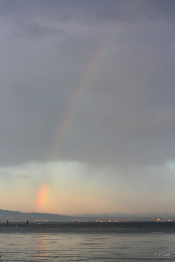 Regenbogen.jpg