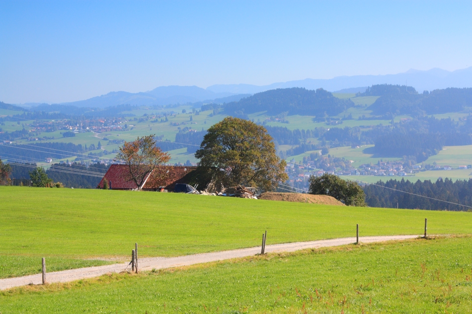 Brennweite: 47mm<br />Blende: F/7,1<br />ISO-400<br />Belichtungszeit: 1/640 Sek.<br />Filter: UV, Grau-Verlauf