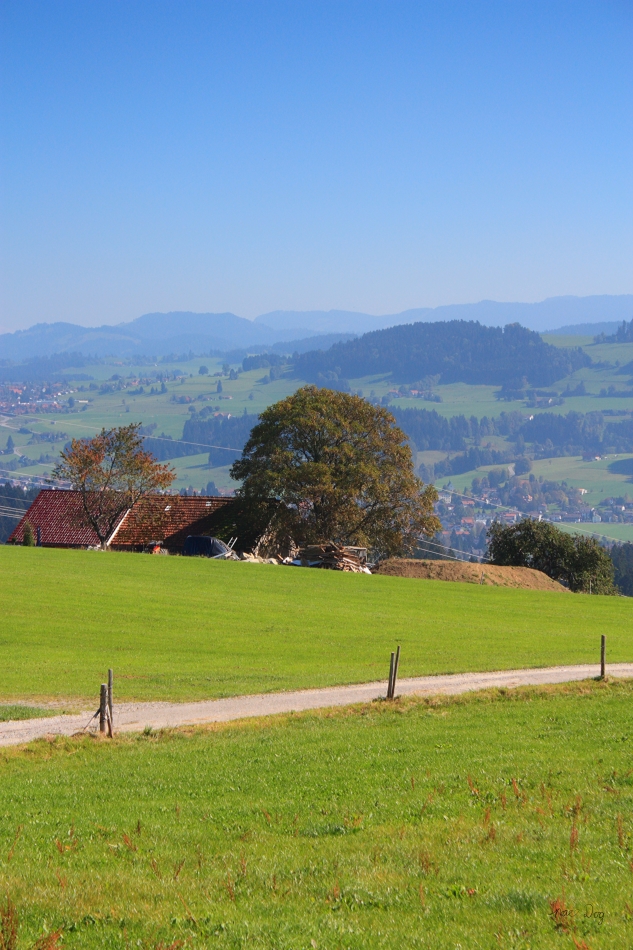 Brennweite: 55mm<br />Blende: F/7.1<br />ISO-400<br />Belichtungszeit: 1/800<br />Filter: UV, Grau-Verlauf