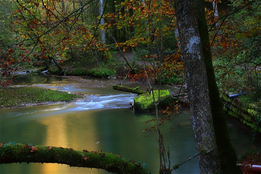 Brennweite: 37mm<br />Blende: F/25<br />ISO-100<br />Belichtungszeit: 5 Sek.<br />Filter: UV, Pol