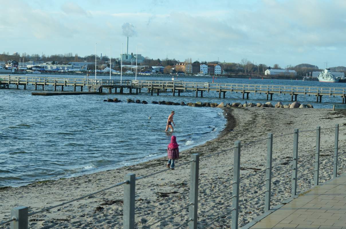 DSC_0228.jpg