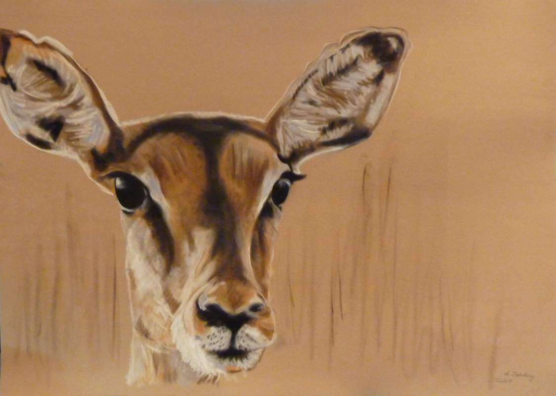 Antilope2.jpg