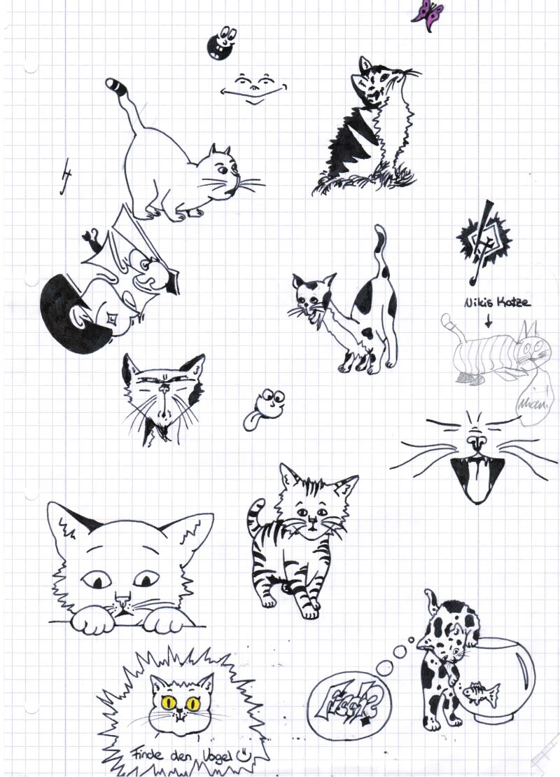 Katzen.jpg