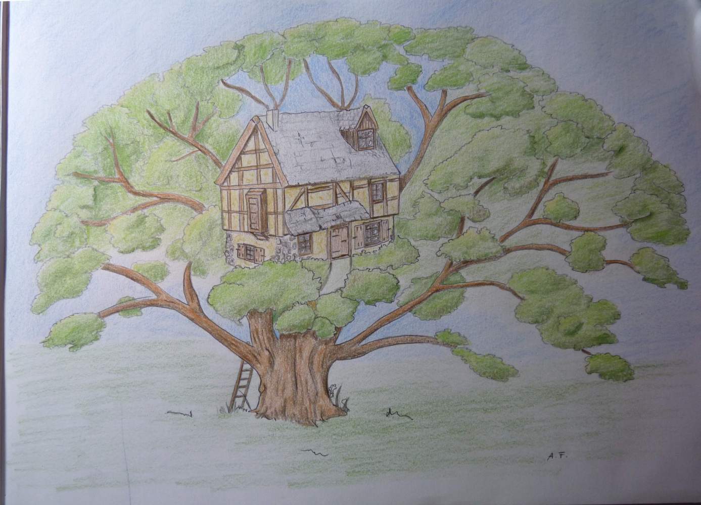 baumhaus2.jpg
