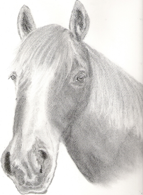 Scannen0005.jpg
