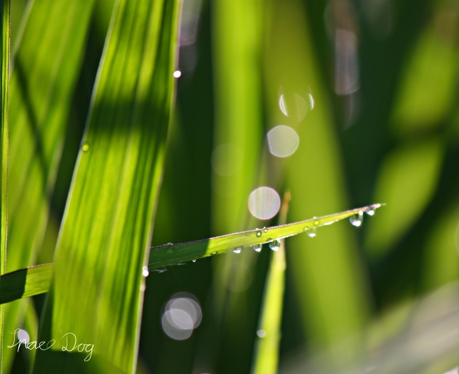IMG_5575 3.jpg