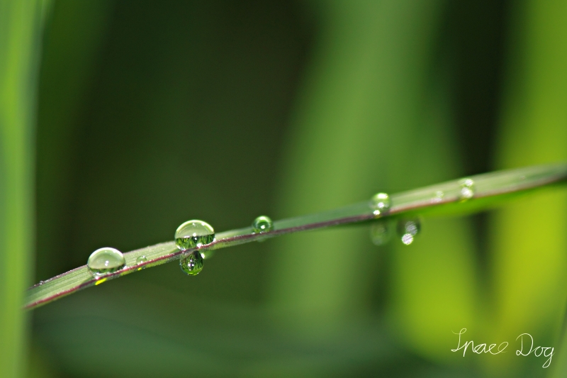 IMG_5625.jpg