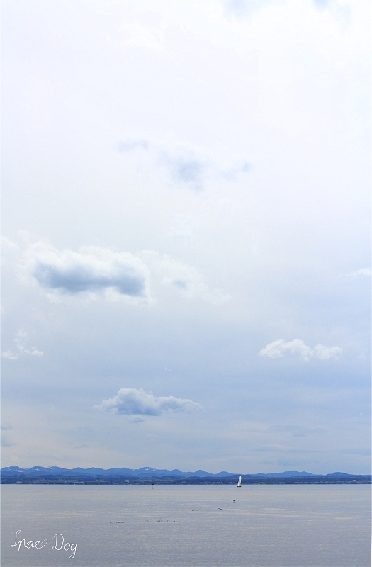 Brennweite: 50mm <br />Objektiv: Canon EF 50mm F/1.8 II<br />Blende: F/2.8<br />ISO - 200<br />Belichtungszeit: 1/3200 Sekunde