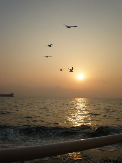 Sonnenuntergang 2 kk.JPG