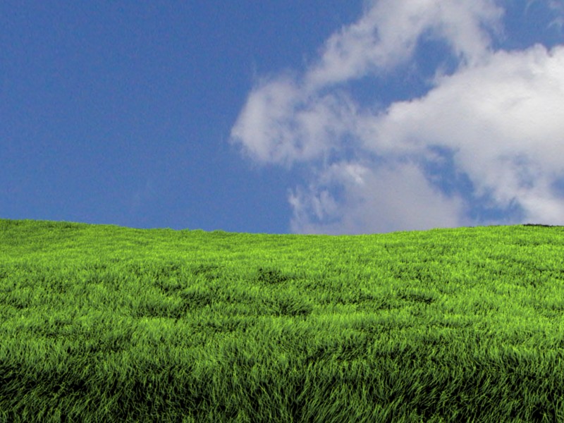 gras 1.jpg
