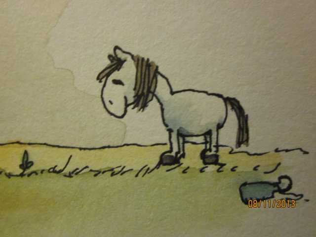 Quelle: Janosch "Schnuddelbudel fängt einen Hasen"