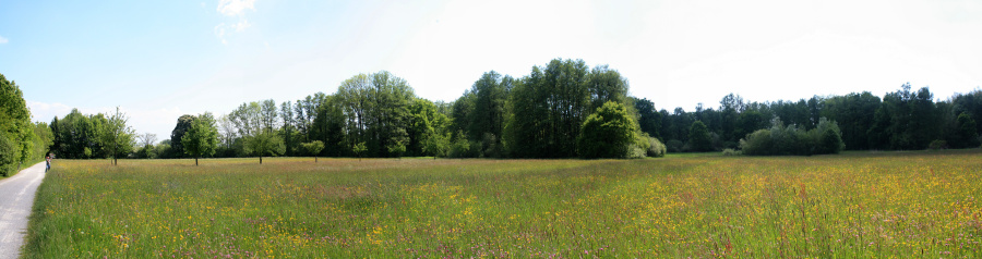 Panorama1.jpg