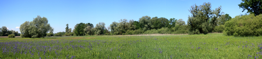 Panorama2.jpg