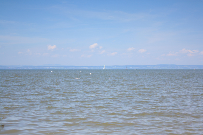 IMG_4565.jpg